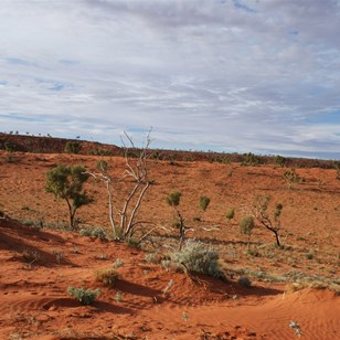 The view north across the dunes to Miles Ridge