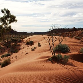 The view west along the dune top