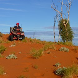 Heading down the dune at Pyramid Point