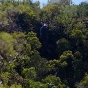 Tjaetaba Falls on Green Ant Creek