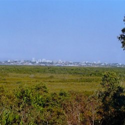 View towards Darwin from Charles Darwin NP