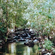 Pretty spot for a swim near Florence Falls