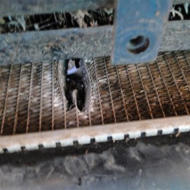 The new look radiator with internal core access port.