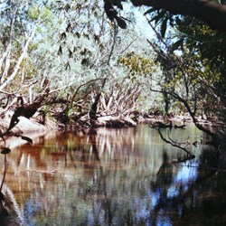 South Alligator River