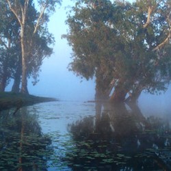 Misty morning at 4 Mile Hole