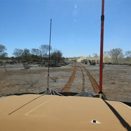 Heading out to the old cut line