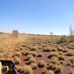 The first stretches of the morning heading towards the old cut line