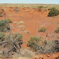 Veevers Meteorite Crater