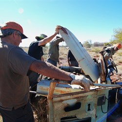 You've got a bit of work ahead of you boys!