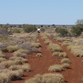 Coming up the cut line towards the Gary Highway