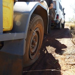 I said to myself "Self, I reckon Scotty will get that stick" - He did