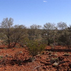 Overlooking the Red Bluff Rockholes Site