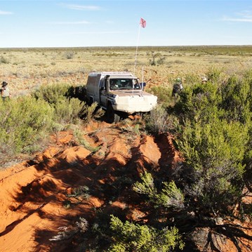 Backing the tuck truck out of some thick scrub and deep sand.
