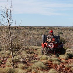 Outback Al kicking back on the quad.