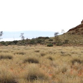 One of the ridges in the Bedford Ranges