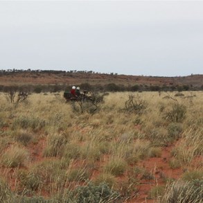 John & suzette cruising the spinifex