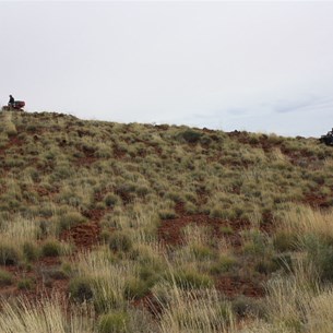 The quads heading up Diorite Hill