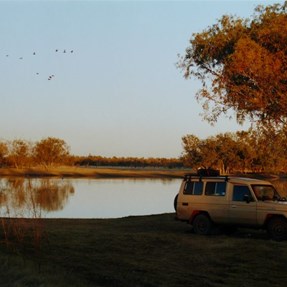Up with the birds at Lake Woods
