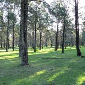 A beautiful brisk morning 