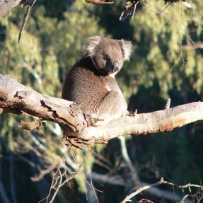 Smile for the camera