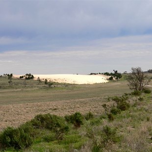 Big shifting dune just south of Underbool