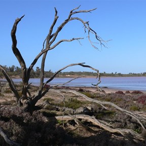 Becker Lake, one of the Pink Lakes