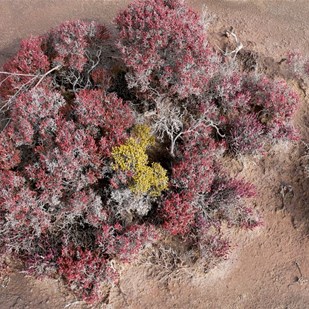 Miniature forests and gardens surround each lake