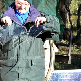 Sheets of ice from on top of Troopy