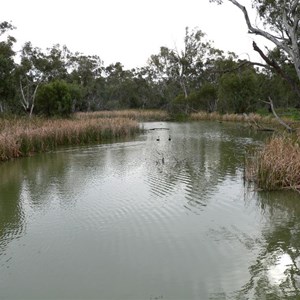 Lachlan River, near its confluence with Murrumbidgee River