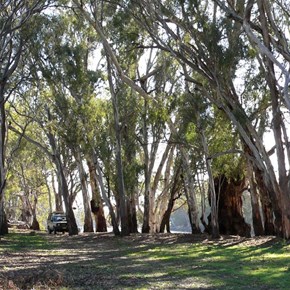 Exploring along the river