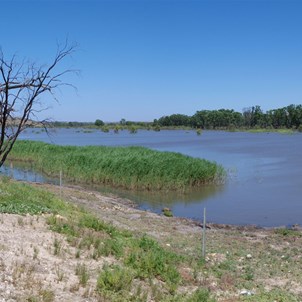 Rising Water Levels in the Murraylands