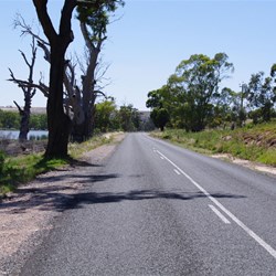 Scenic Drive road between Mannum and Bow Hill