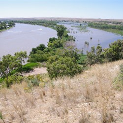 The Murray River and the flooding backwater
