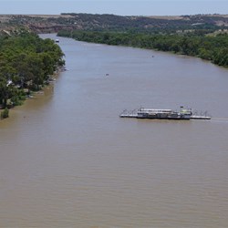 Murray River Ferry crossing at Walker Flat