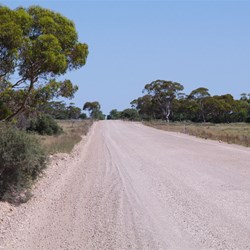 Good Dirt road between Blanchetown and Morgan