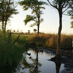 Morning light at Dragon Tree Soak
