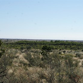 The telltale ring of green that signals Elizabeth Soak