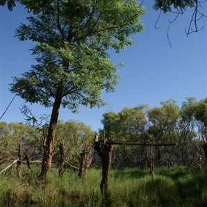The reflection pool at Elizabeth Soak