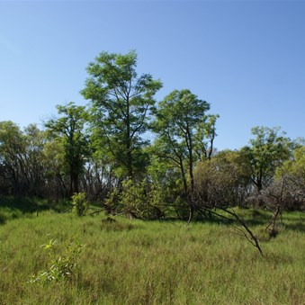 The protected grassy field of Elizabeth Soak
