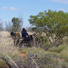 Suzette taking a break in the shade of a bush. 34C and dusty.