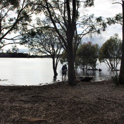 Arthurs Lake - Central Plateau 