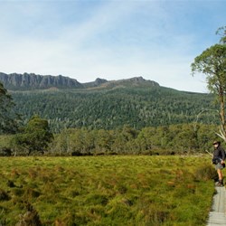 walking near Narcissus Bay on the Overland track