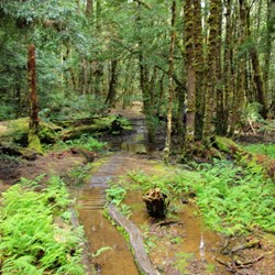 wet and muddy Overland track