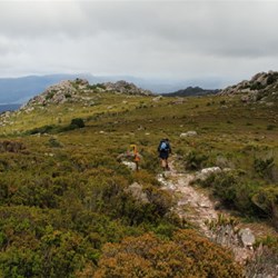 track and views on the plateau at Mt Roland