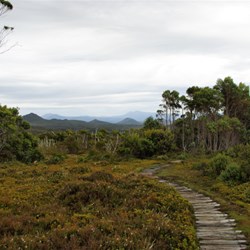 some of the track was almost level boardwalk