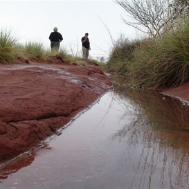 A gully full of flowing water after our desert downpour