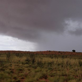 Overtaken by the rain storm.