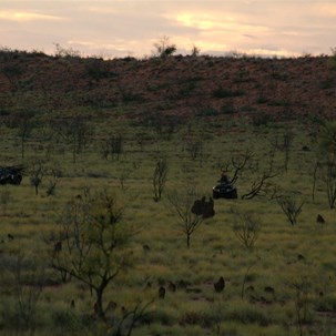 The boys towing in some very damp firewood.