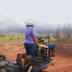 Suze trying for a better view.