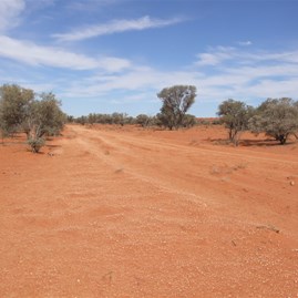 Colson Track - Northern Territory